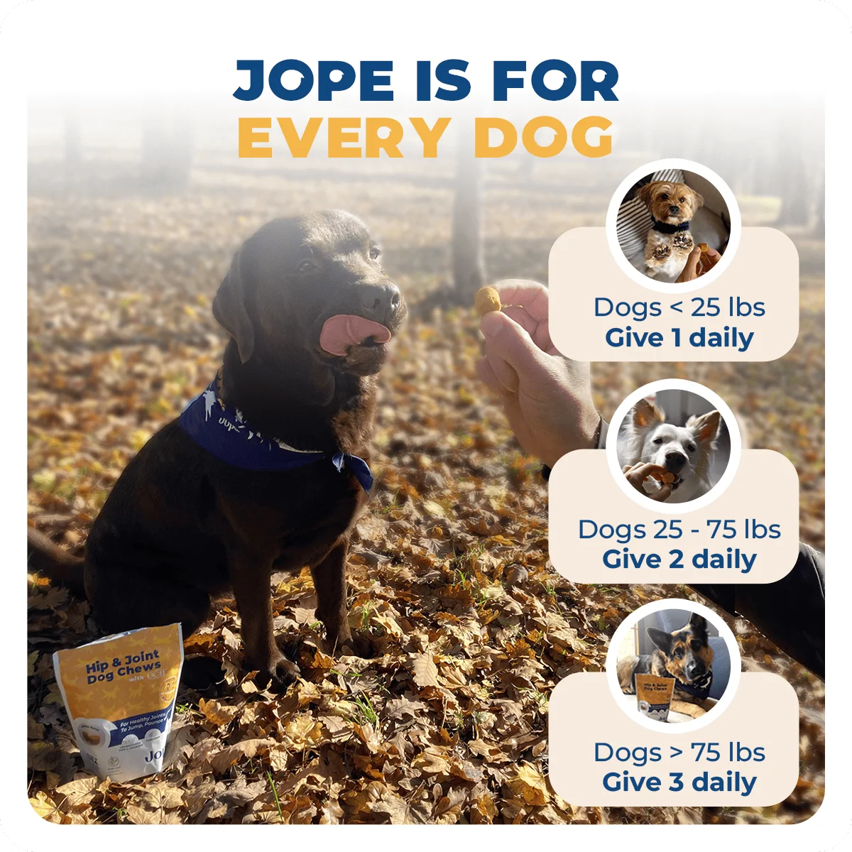 Jope Hip & Joint Dog