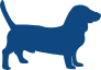 Dogs under 25 lbs