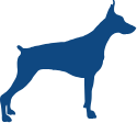 Dogs over 75 lbs