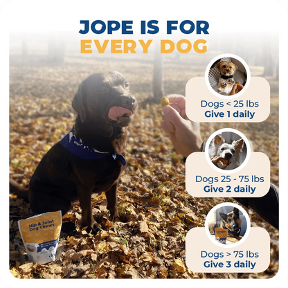 Jope Hip & Joint Dog